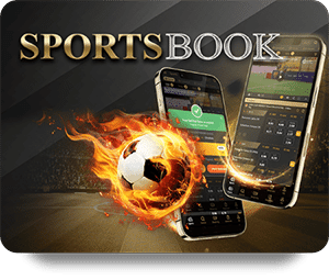 VF555 Bet Online: Safe and Secure Betting Guide